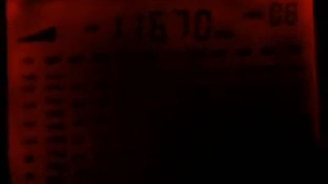 Польское радио на КВ. 30.01.2012 смотреть онлайн