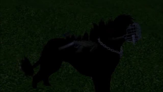 Dragon's den||Jhonyboy-В ярком небе,пролетай звезда||Video song смотреть онлайн