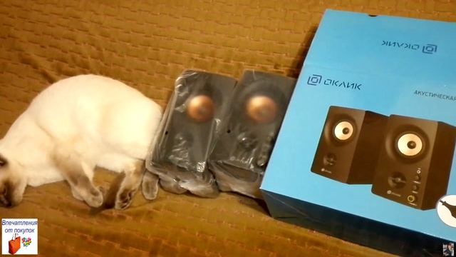 Бюджетная и качественная акустическая система для компьютера "Оклик". Для компьютера... смотреть онлайн