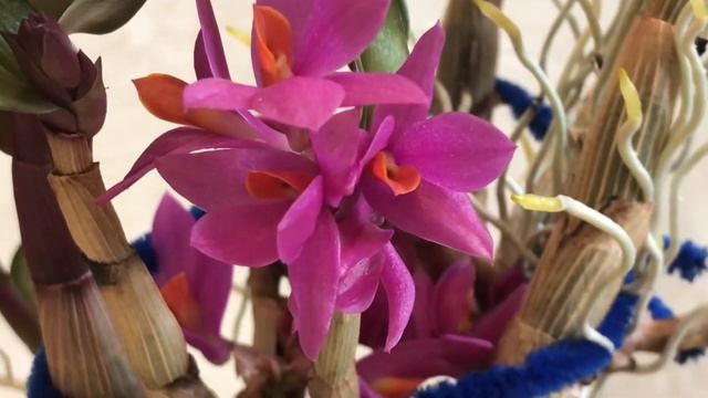 Цвет дня - синий! Подарки к празднику. смотреть онлайн