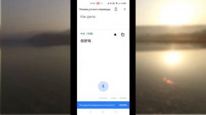 Полезные и прикольные команды для OK google