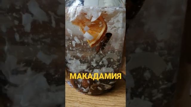 макадамия 1.5 литра ждём и будем пробовать смотреть онлайн