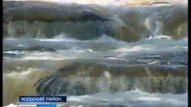 На страже здоровья "царской" рыбы. Ихтиологи Кольского мониторинг состояния атлантического лосося смотреть онлайн
