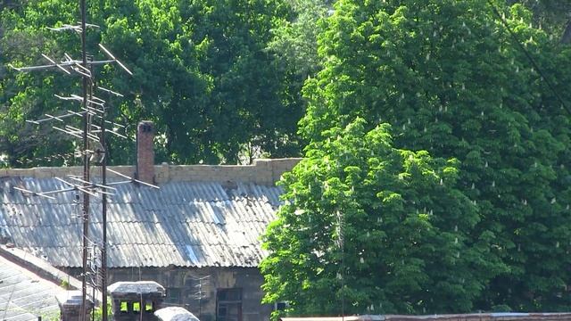 Жара в Одессе [1 Мая 2012г.] смотреть онлайн