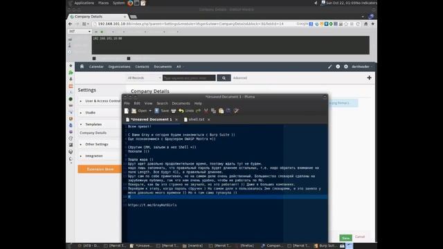 Примеры использования Burp Suite