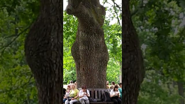 Умань, Софиевский парк 2021г,18ч смотреть онлайн