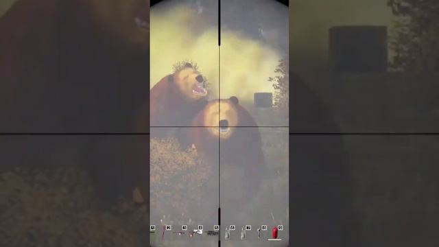 #dayz #dayzgameplay #games смотреть онлайн