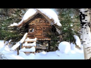 НОЧЬ в ИЗБЕ МОГЛА БЫТЬ ПОСЛЕДНЕЙ | МОЗГИ НА БЕРЕЗЕ | НАПАЛА ХВОРЬ!
