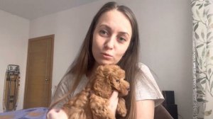 Той пудель Лео первый день дома