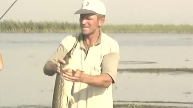 Диалоги о рыбалке Ужение хищника на спиннинг. смотреть онлайн