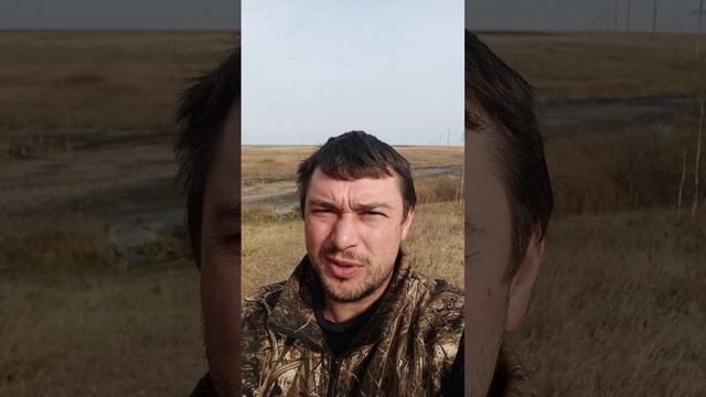 Пашкин пруд. Рыбоводство с нуля.Платная рыбалка. смотреть онлайн