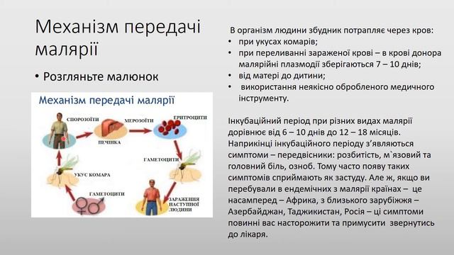 одноклітинні збудники хвороб людини смотреть онлайн