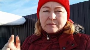 Первая прогулка ягнят// Нюансы по обезроживанию коз// Паста для обезроживания козлят// Алюмиспрей