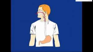 Вводить зонд через нос