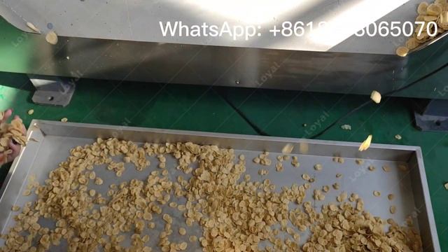 2022 How corn flakes production line works?/How does cereal flakes production line work? смотреть онлайн