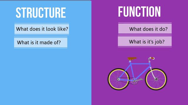 Structure vs Function in Biology-How are they different смотреть онлайн