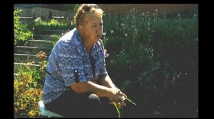 Ураган, Торнадо, Глифор, Раундап...  Может попробуем то, чем питался Серафим Саровский?