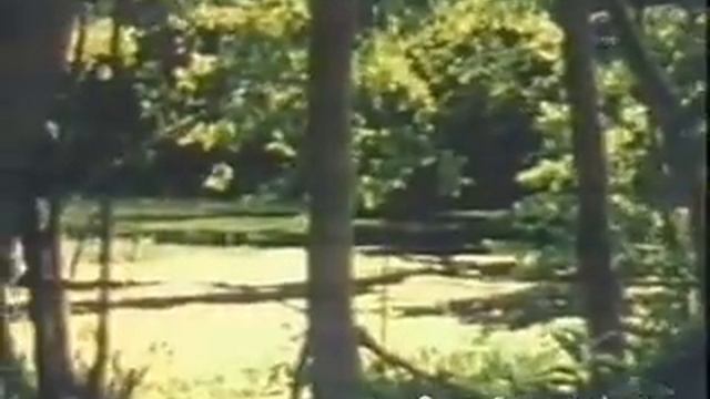 Политов Виктор Иванович смотреть онлайн