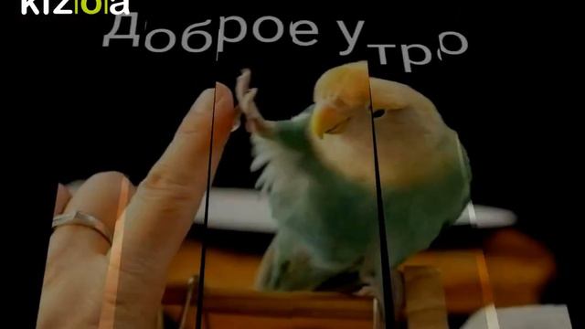 Доброе утречко смотреть онлайн