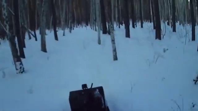 Движение через лес. Мотособака. Проверка. Покатушки. смотреть онлайн