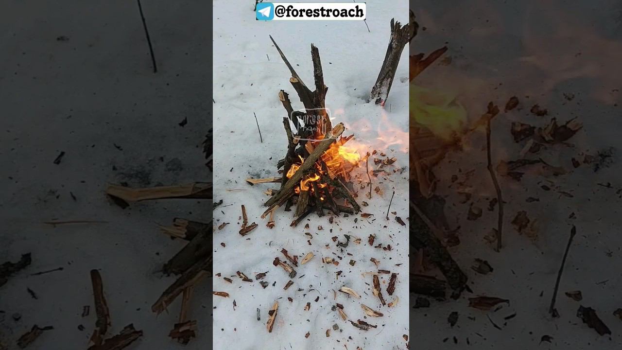 ГДЕ В МОКРУЮ ПОГОДУ БРАТЬ СУХИЕ ДРОВА? #выживание #бушкрафт #нож #ковка #самоделки #котелок #поход смотреть онлайн