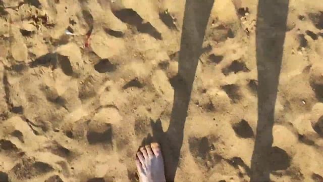Водохранилище Дрозды 26.06.2022г. смотреть онлайн
