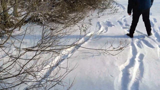 ЩУКА НА ЖЕРЛИЦЫ ГЛУХОЗИМЬЕ смотреть онлайн