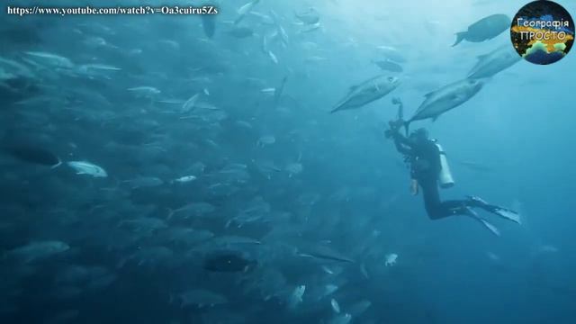 Видобування корисних копалин на дні океану Extraction of minerals from the bottom of the ocean смотреть онлайн