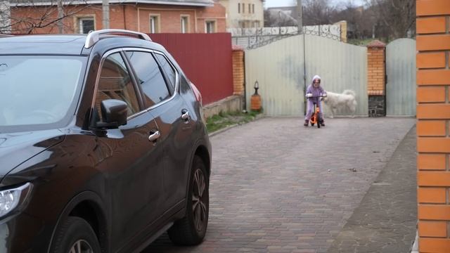 VLOG Алиса дарит Лимону игрушки. А он их полоскает и грызёт