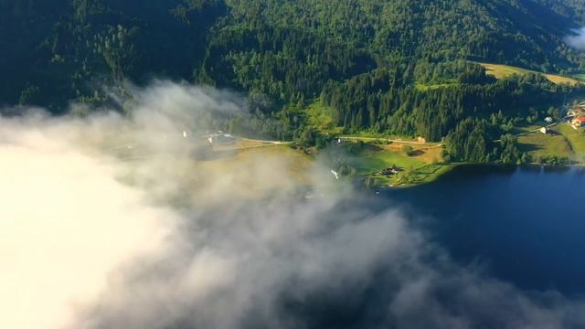 ОЛЬГА УРАЛОЧКА LIVE // ОБЗОР ВЛОГА // РАБОТАЕМ ЗА ЕДУ смотреть онлайн