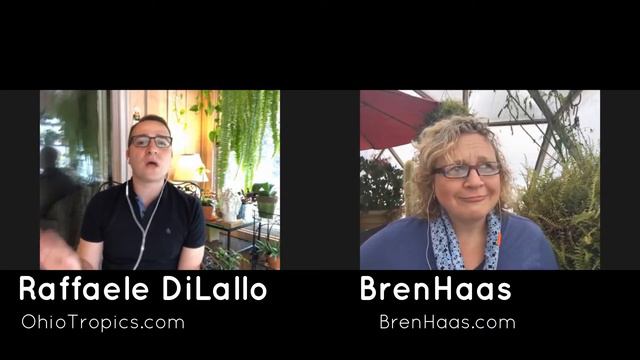 Where Orchids Grow | Interview with Ohio Tropics смотреть онлайн