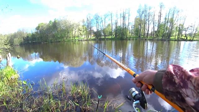 Рыбалка на деревенском пруду! Рыбалка на карпа 2022! смотреть онлайн