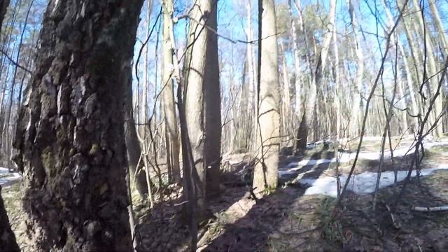 Совместная тренировка Поиск трёх рандомщиков смотреть онлайн