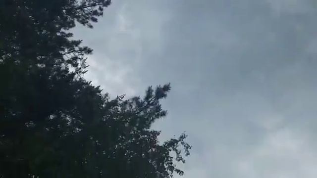 голуби летают в небе подписывайтесь смотреть онлайн