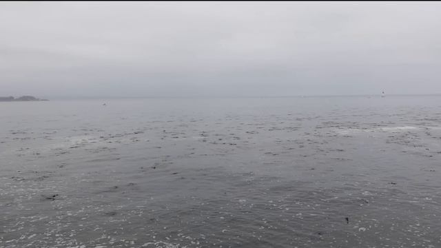 Променад в тумане с новой камерой вдоль Тихого Океана. По дороге случилась ярмарка. смотреть онлайн