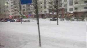 Автобус 134 «Арцеуловская аллея - Лахтинский Разлив»
