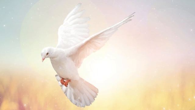 The Dove Spirit Guide - Ask the Spirit Guides Oracle - Totem Animal, Power Animal - Magical Craftin смотреть онлайн