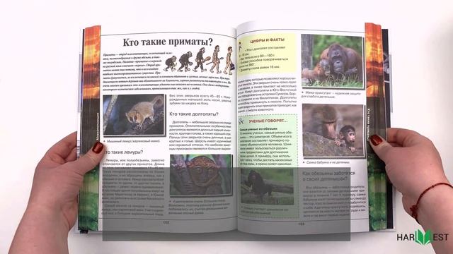 Большая книга почему. Детская энциклопедия смотреть онлайн