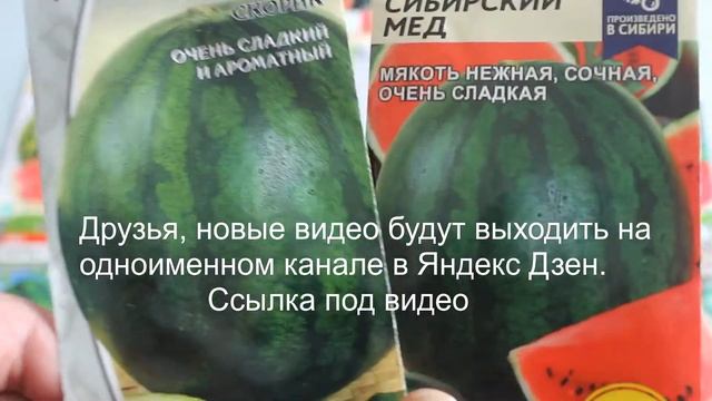 Обзор семян арбузов на 2022 год. смотреть онлайн