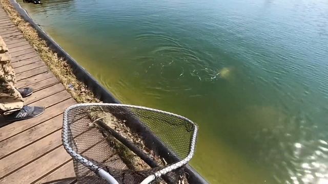 Рыбалка в FISHPARK смотреть онлайн