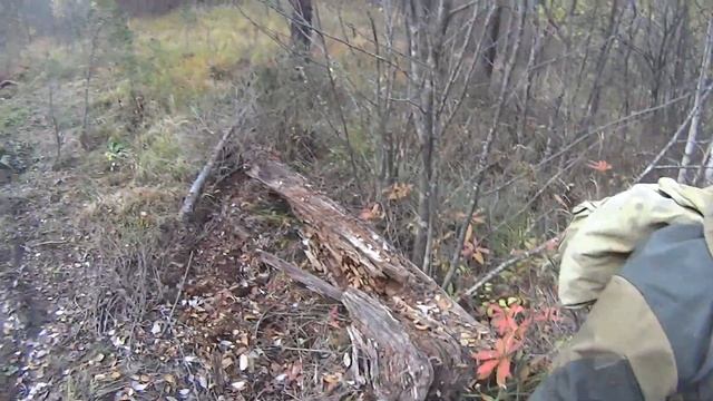 Бермамыт #лучшие  места Кавказа #эндуро Klx450 Ktm250 Klx250 Yamaha Wr250 и хаска 250