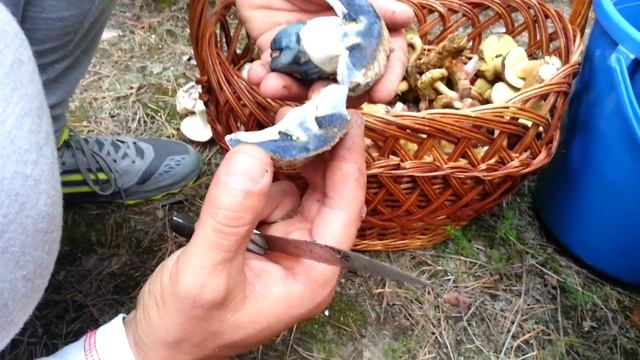 Рецепты счастья