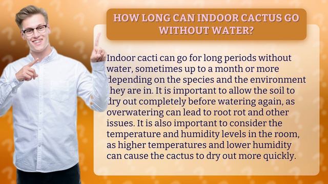 How long can indoor cactus go without water? смотреть онлайн
