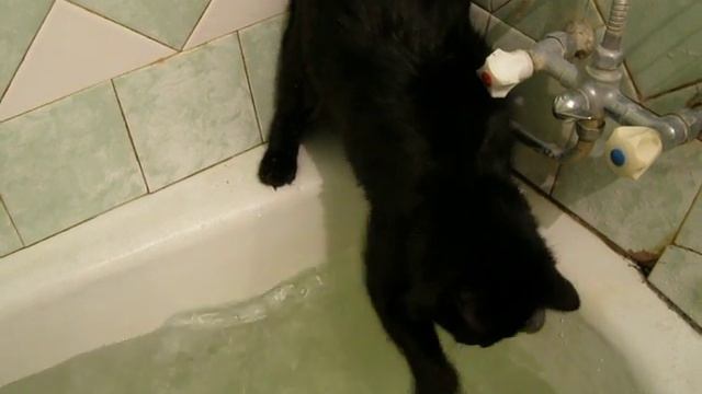 Атосина смотреть онлайн