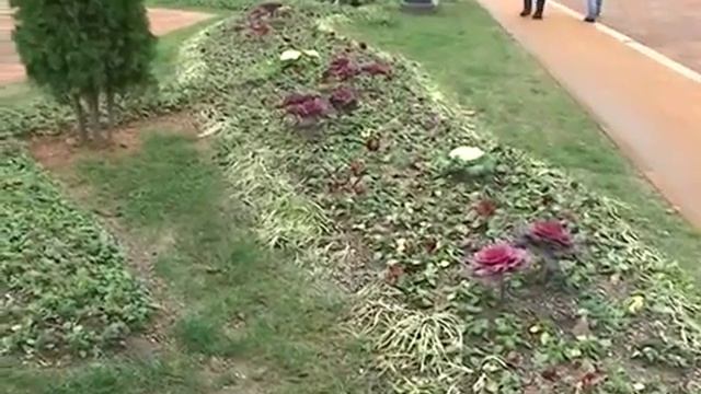 Сочинец получил 80 часов принудительных работ Новости Сочи Эфкате смотреть онлайн