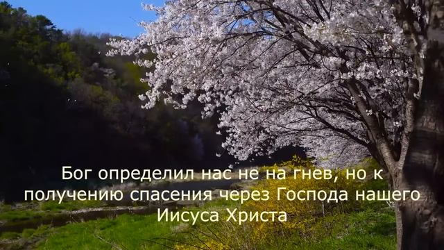 Христианские песни | Вот идет Господь с сияньем смотреть онлайн