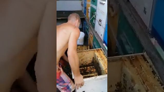качка меда Алексей в работе смотреть онлайн