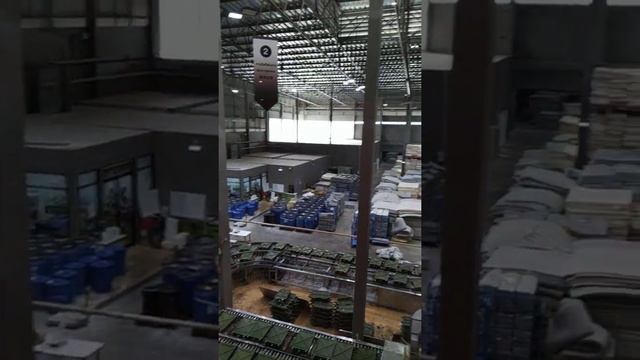 Тайланд. Производство латекса из каучуковых растений - гивеи.(1) смотреть онлайн