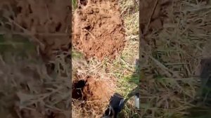 Коп с Nokta Makro KRUZER GOLD