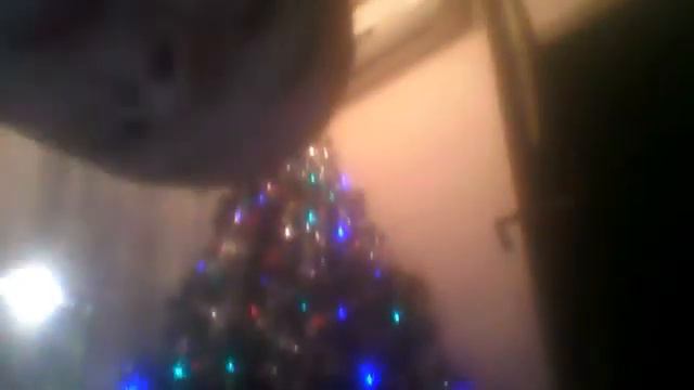 Видео с веб-камеры. Дата: 31 декабря 2013 г., 20:01. смотреть онлайн